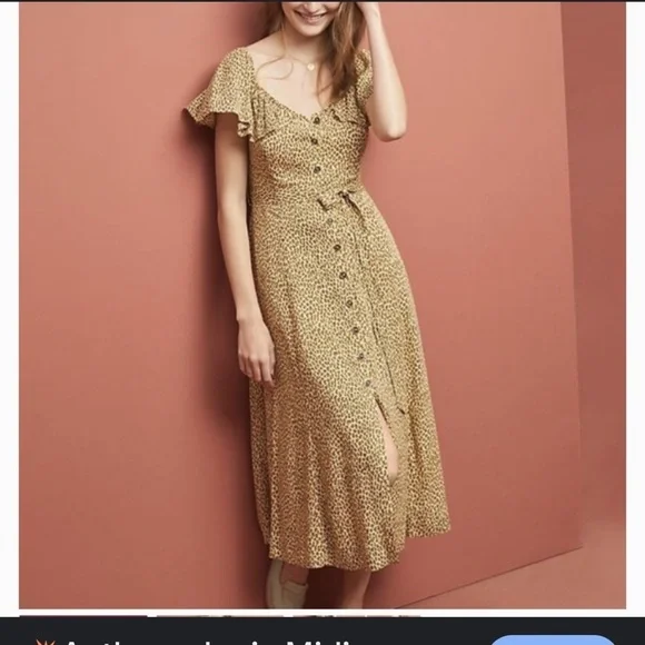 Anthropologie boho Animal Print Button Down Midi Dress - Picture 3 of 11